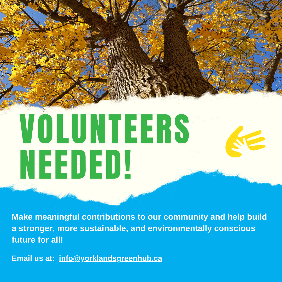 Volunteers Needed!