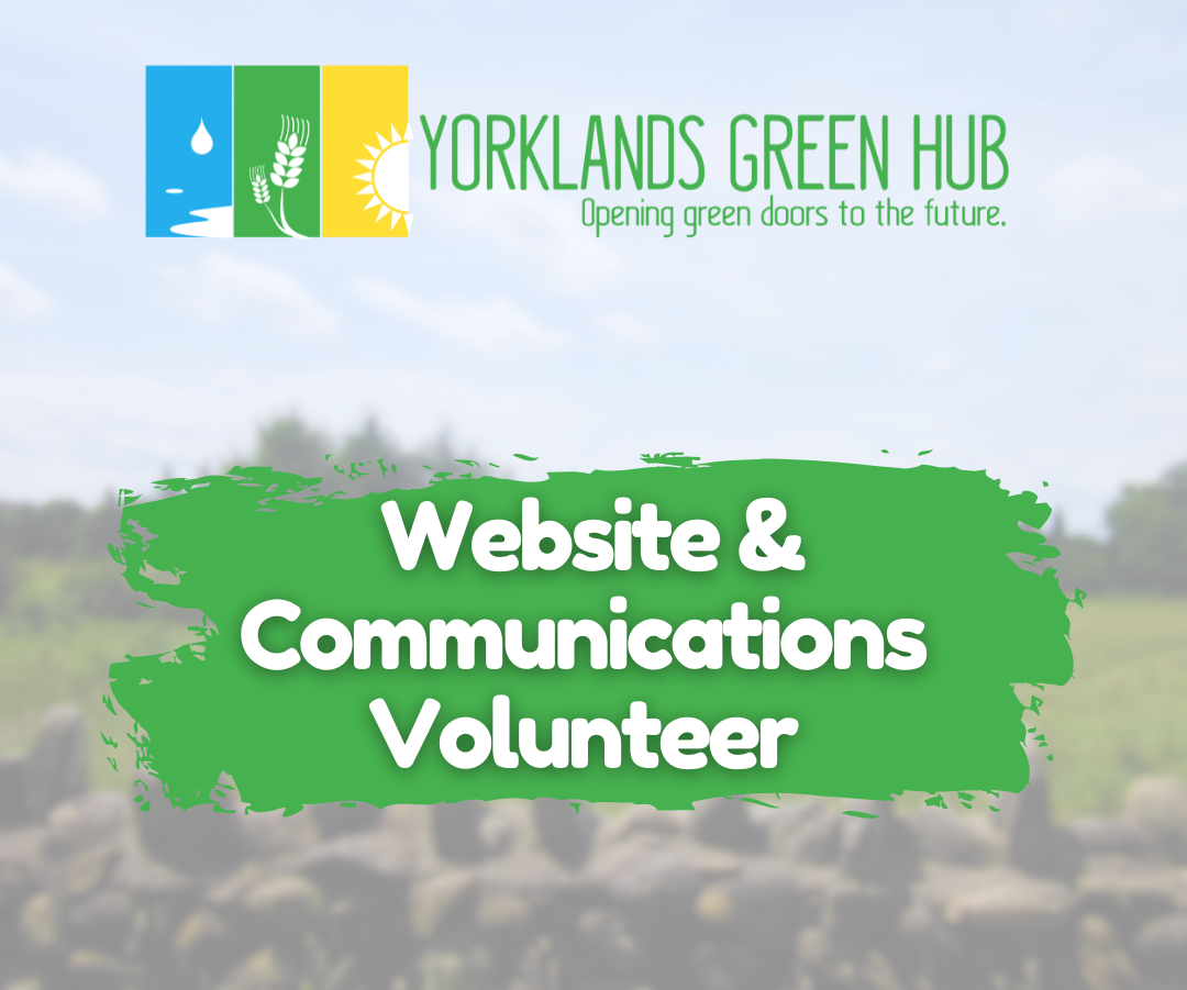 Join Our Team: Website & Communications Volunteer Position