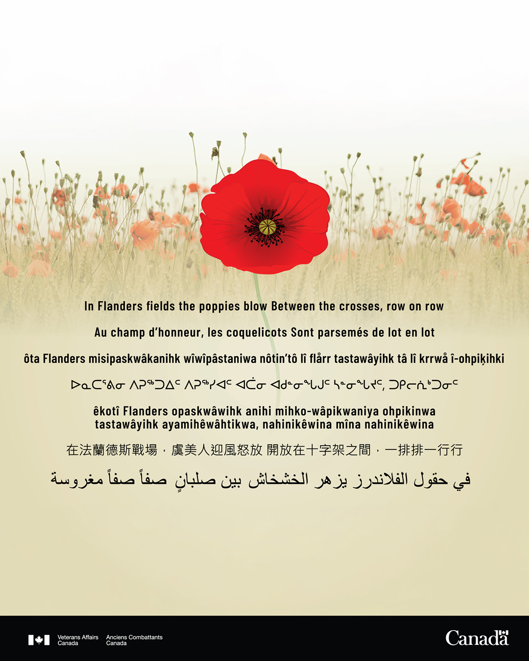 Remembrance Day & Veterans’ Week