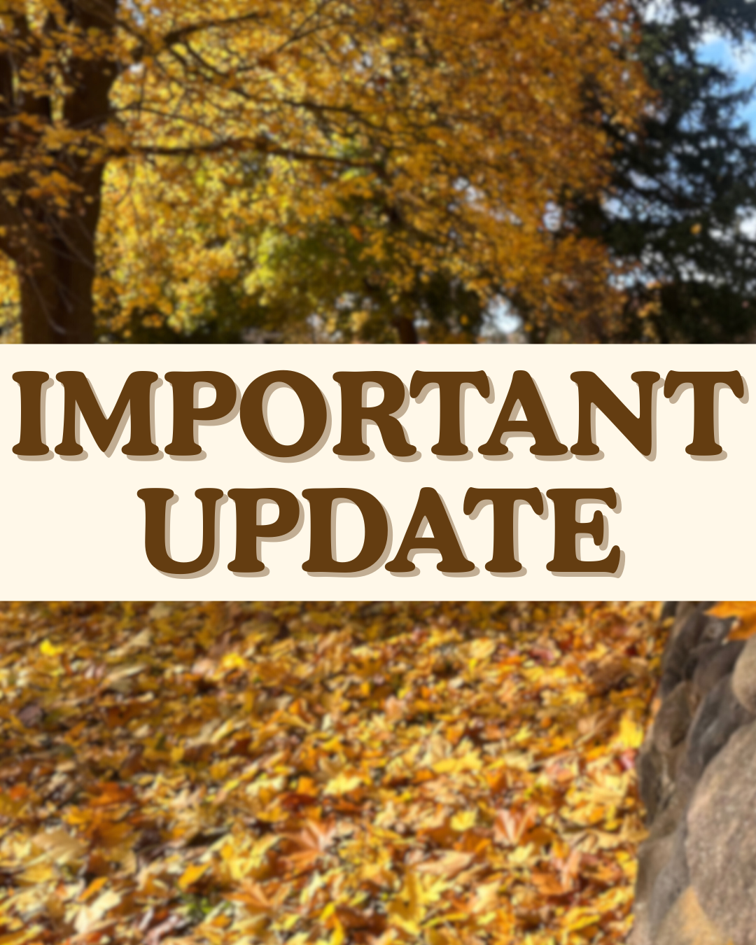 Guelph’s 2026 City Budget Update