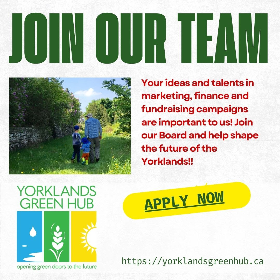 Join our team