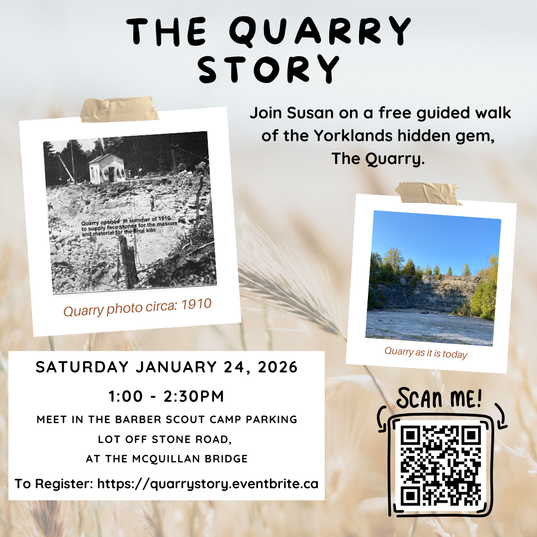 The Quarry Story