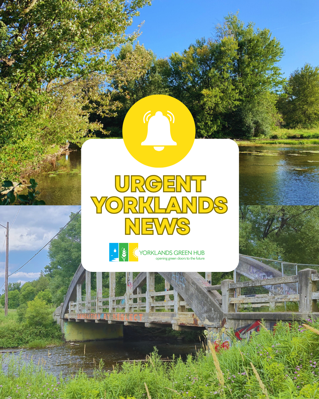 Urgent News About The Yorklands Site