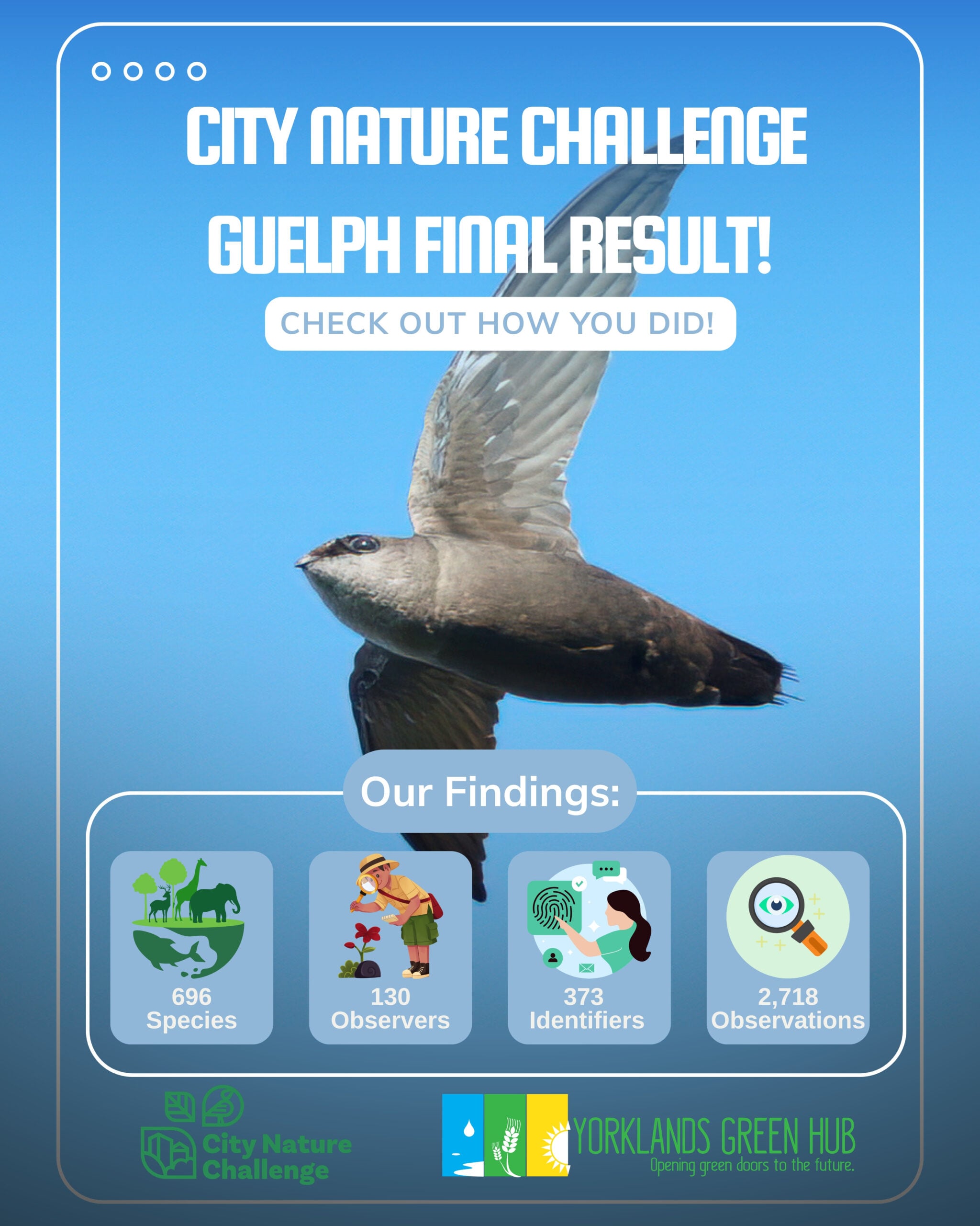 City Nature Challenge