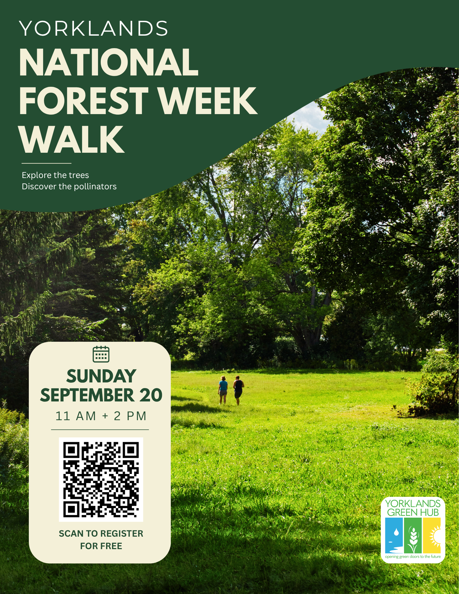 National Forest Week Walk